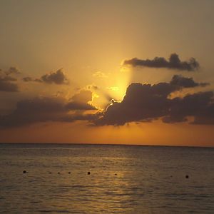 Cozumel Dive Trip October 2012: my first blue water