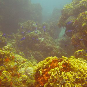 PICT0363