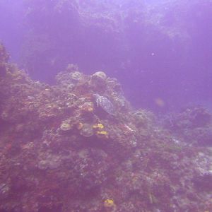 PICT0403