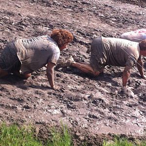 Mud crawl