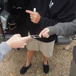 pull my finger