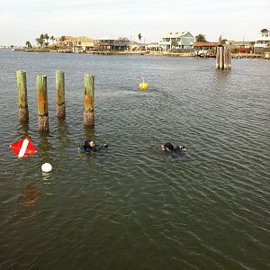 Reefhound and Vanessar
