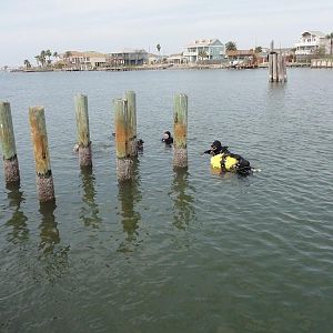 CHUM in the water