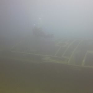 taken from back on the wall for an idea of viz