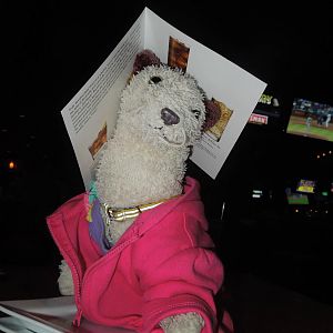 My hat, my hat, my hat is of paperrr