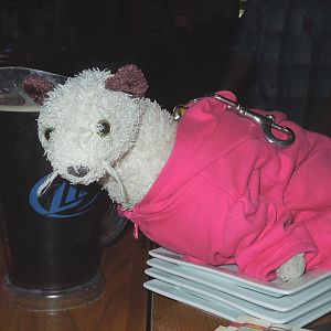 Wet likes beer - especially FREE beer