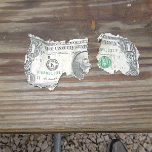 Think I can spend it?