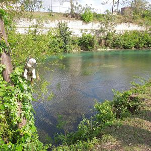Wet hangin out riverside