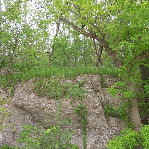 Along the path