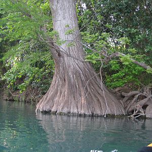 Tubing and kayaking at the Comal