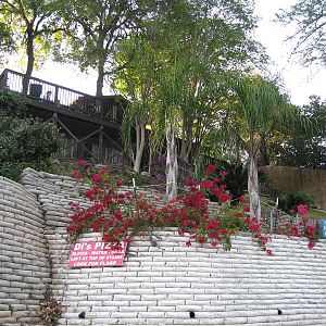 Tubing and kayaking at the Comal