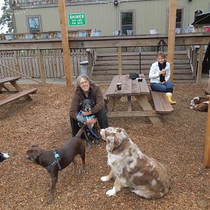 mudbug & Gracie, being supervised by Henry