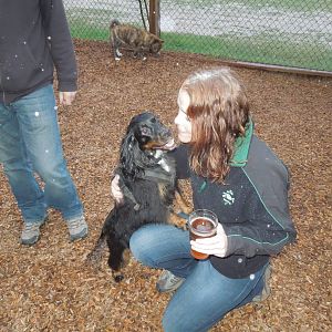 Ziva and birddog