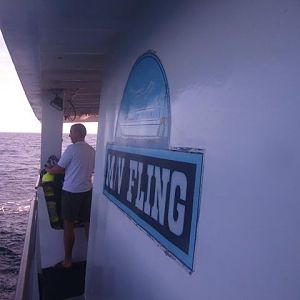 Good morning from the Fling