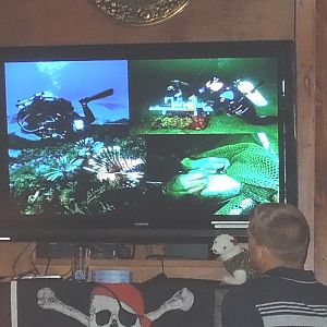 What NOAA Corps divers do