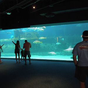 U-352 exhibit at the aquarium