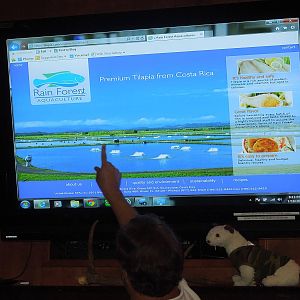 farm raised and tasty