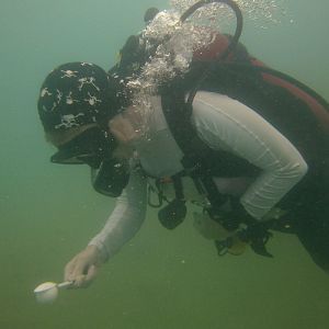 birddog showing her ping pong race skillz