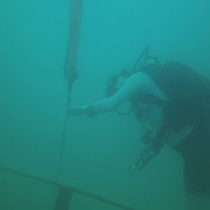 birddog getting the next coordinates