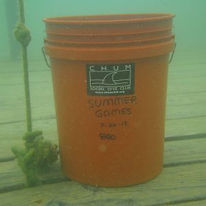 Let the games begin!