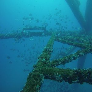 Rig diving on "40 Mile Rig"