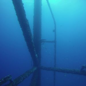 Barracuda #2