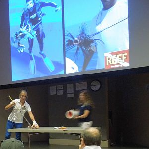 spearing demo