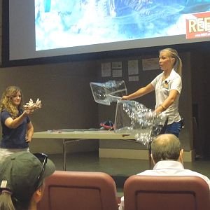 netting demo