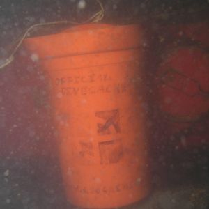 CHUM's Mammoth Divecache is still in place