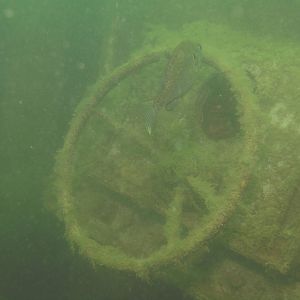 How do you drive this thing?