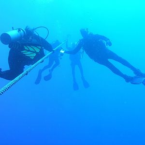 the end of the dives