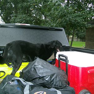 Sam getting tired of waiting for the chill!!