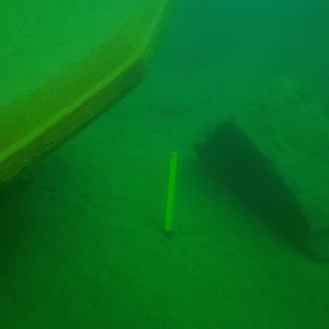 what we were looking for