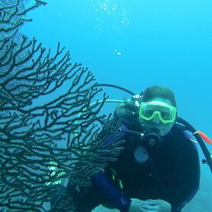 Ms K-Jenn Dives with Fan