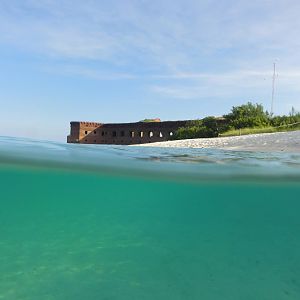Ft Jefferson from dive off the pier