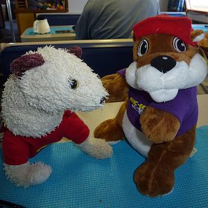 Match made in heaven