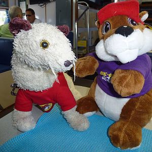 Match made in heaven 2