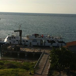 can you see shadow diver?