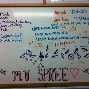 Spree board