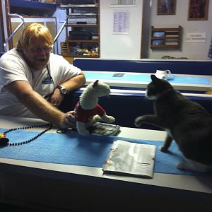 bearing, wet and the wookie