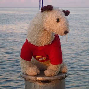 Wet in her Buc-ee's shirt 2