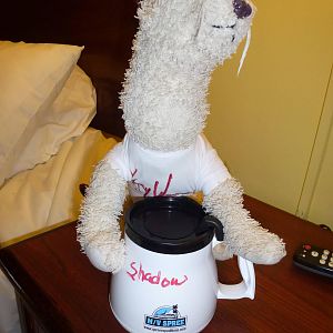 Wet's souvenir from Key West