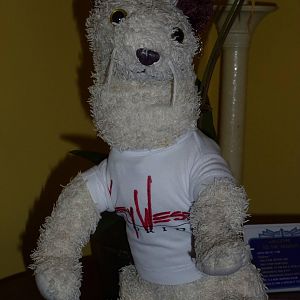 Wet's souvenir from Key West