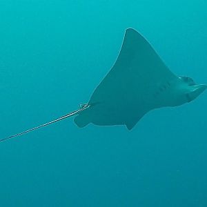 PICT1133_-_Version_2