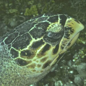 PICT1212_-_Version_2