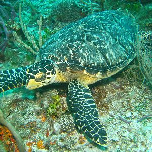 PICT1224_-_Version_2