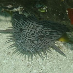 PICT1233_-_Version_2