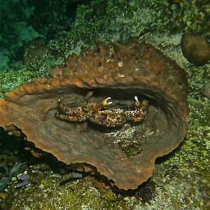 PICT1268_-_Version_2