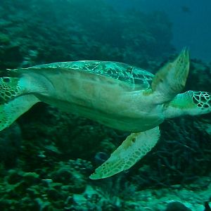 PICT1348_-_Version_2