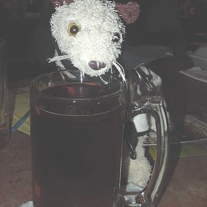 a Wet-sized beer